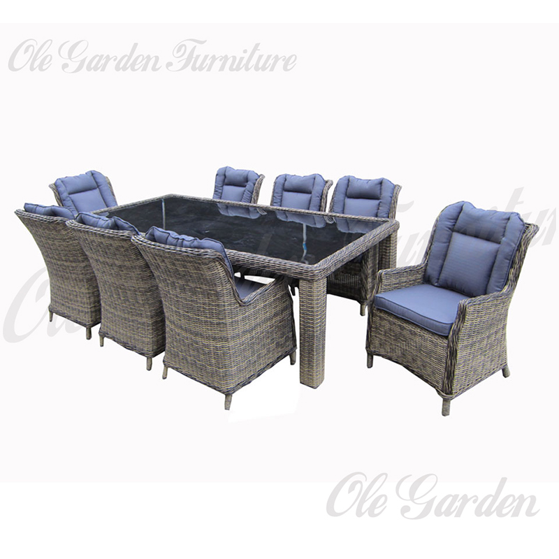 YL-105 9 Pieces Rectangular Outdoor Dining Set