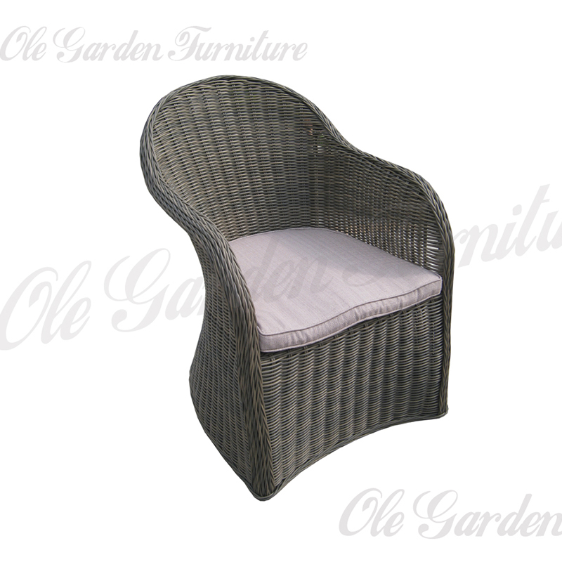 YL-710 Patio Leisure Chair